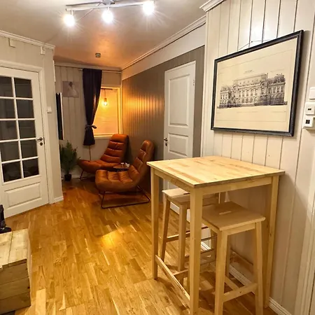 公寓 2 Bedroom Cozy Central 纳尔维克